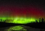 'Vũ điệu ánh sáng' - cực quang rực sáng trên bầu trời Minnesota