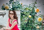 Vườn hồng ngoại đẹp mê hoặc của mẹ đảm 8X tại Hà Giang