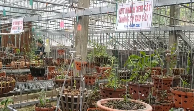 Bán nhà, vay nợ để “lướt sóng” lan đột biến