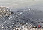 Nghệ An: Nước thải đen ngòm chảy thẳng ra sông Lạch Vạn, môi trường ô nhiễm nghiêm trọng