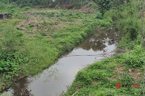 Huế: Sản xuất giấy nhả khói hôi khét, xả nước thải 'bức tử' hồ Châu Sơn