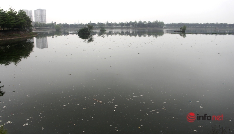 Nghệ An: Hồ điều hòa ô nhiễm khắp nơi, những 
