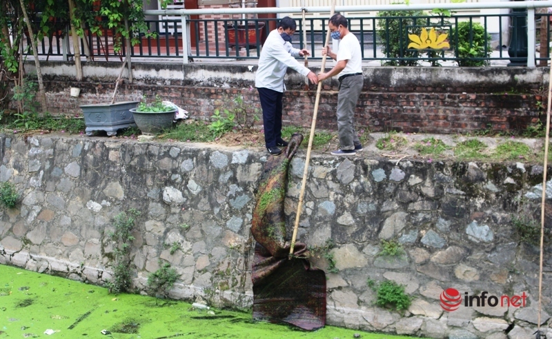 Nghệ An: Hồ điều hòa ô nhiễm khắp nơi, những 'lá phổi đen' khiến người dân ngao ngán