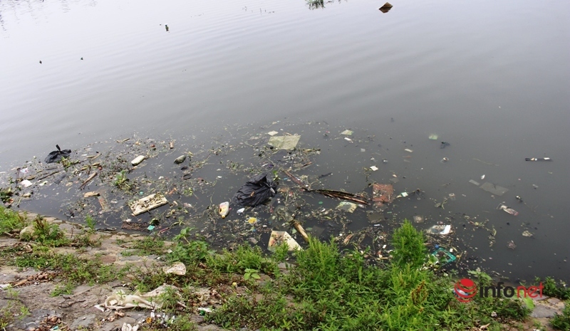 Nghệ An: Hồ điều hòa ô nhiễm khắp nơi, những 'lá phổi đen' khiến người dân ngao ngán