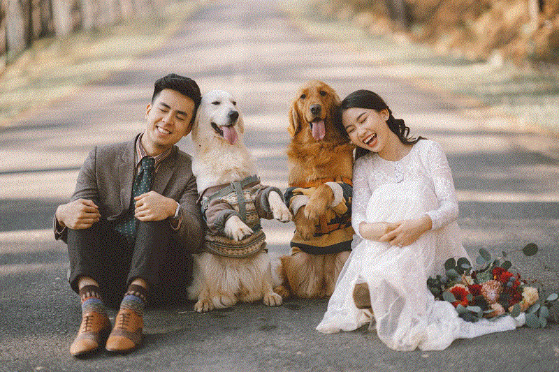 Bộ ảnh cưới với cún cưng khiến dân tình 'lịm tim' vì quá đáng yêu