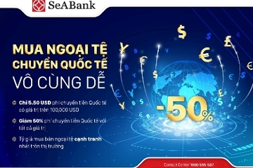 SeABank: Nhiều ưu đãi hấp dẫn cho khách hàng chuyển tiền quốc tế và mua bán ngoại tệ