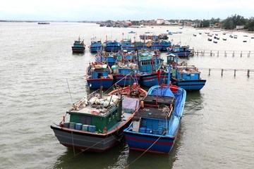 Bộ đội Biên phòng Thái Bình cùng phát triển kinh tế biển