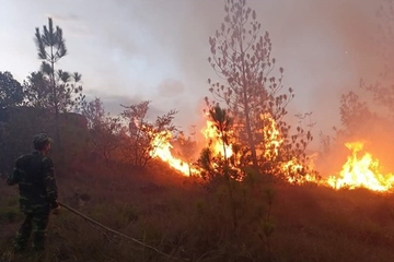 Quảng Nam: Rừng thông bốc cháy ngùn ngụt, hàng trăm người vất vả dập lửa