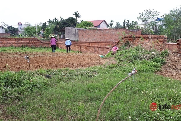 Giá đất tăng cao, nhà đầu tư 'tháo chạy' khỏi thành phố, vác tiền về quê đầu tư đất