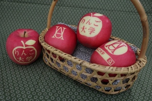 Kỹ thuật dùng ánh sáng mặt trời biến táo thành tác phẩm nghệ thuật của người Nhật
