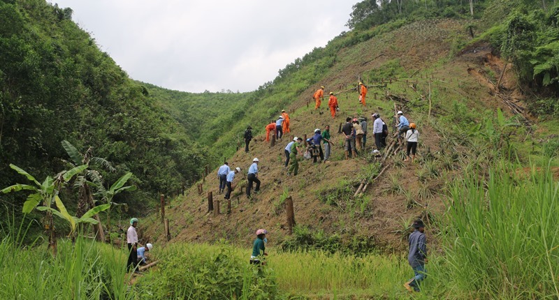 Phát động trồng cây gây rừng tại xã miền núi Quảng Nam