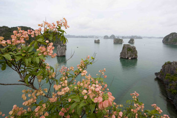 Quảng Ninh: Phát triển du lịch gắn với bảo tồn