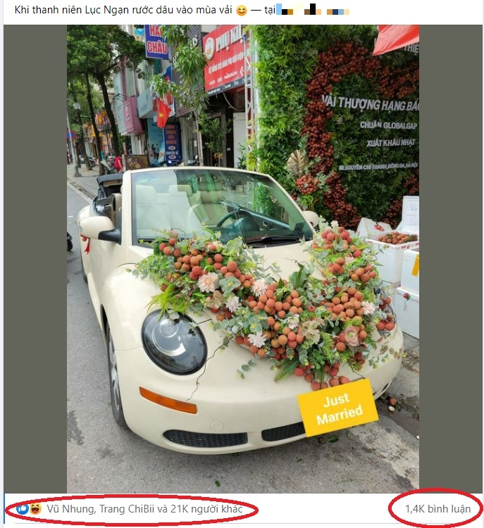 Xe hoa là một điều tuyệt vời để những cặp đôi tỏa sáng trong ngày cưới của họ. Bạn sẽ không thể nhịn được cười khi xem những chiếc xe hơi được trang trí đầy màu sắc và hoành tráng này.