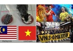 Các nhà 'tiên tri' động vật dự đoán kết quả trận đấu Việt Nam - Malaysia khiến cộng đồng mạng hào hứng
