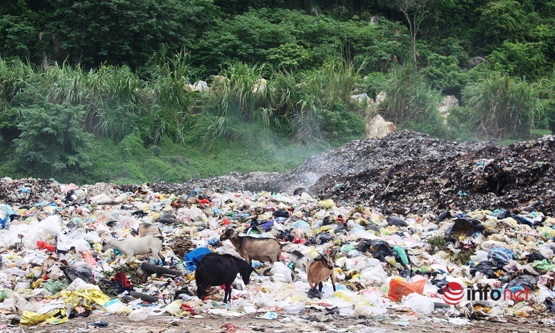 Nghệ An: Bãi rác ô nhiễm giữa thị trấn đông đúc, ruồi nhặng bu kín nhà dân