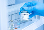 Người dân có được chọn vắc xin Covid-19 để tiêm không?