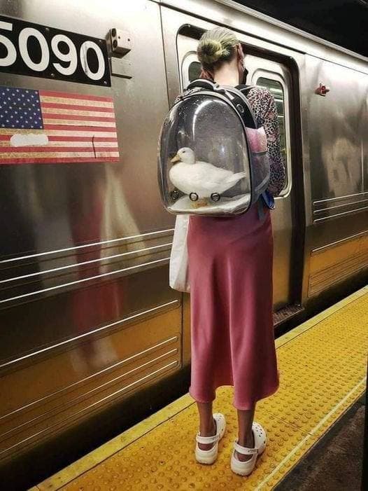 Mỹ,tàu điện ngầm,ảnh đặc sắc