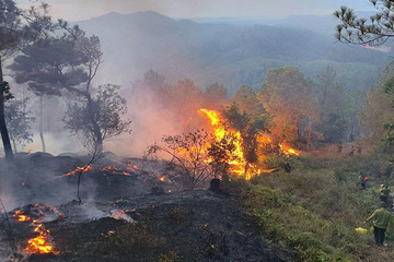 Huế: Cháy rừng thông xuyên đêm ở đỉnh núi Phú Sơn