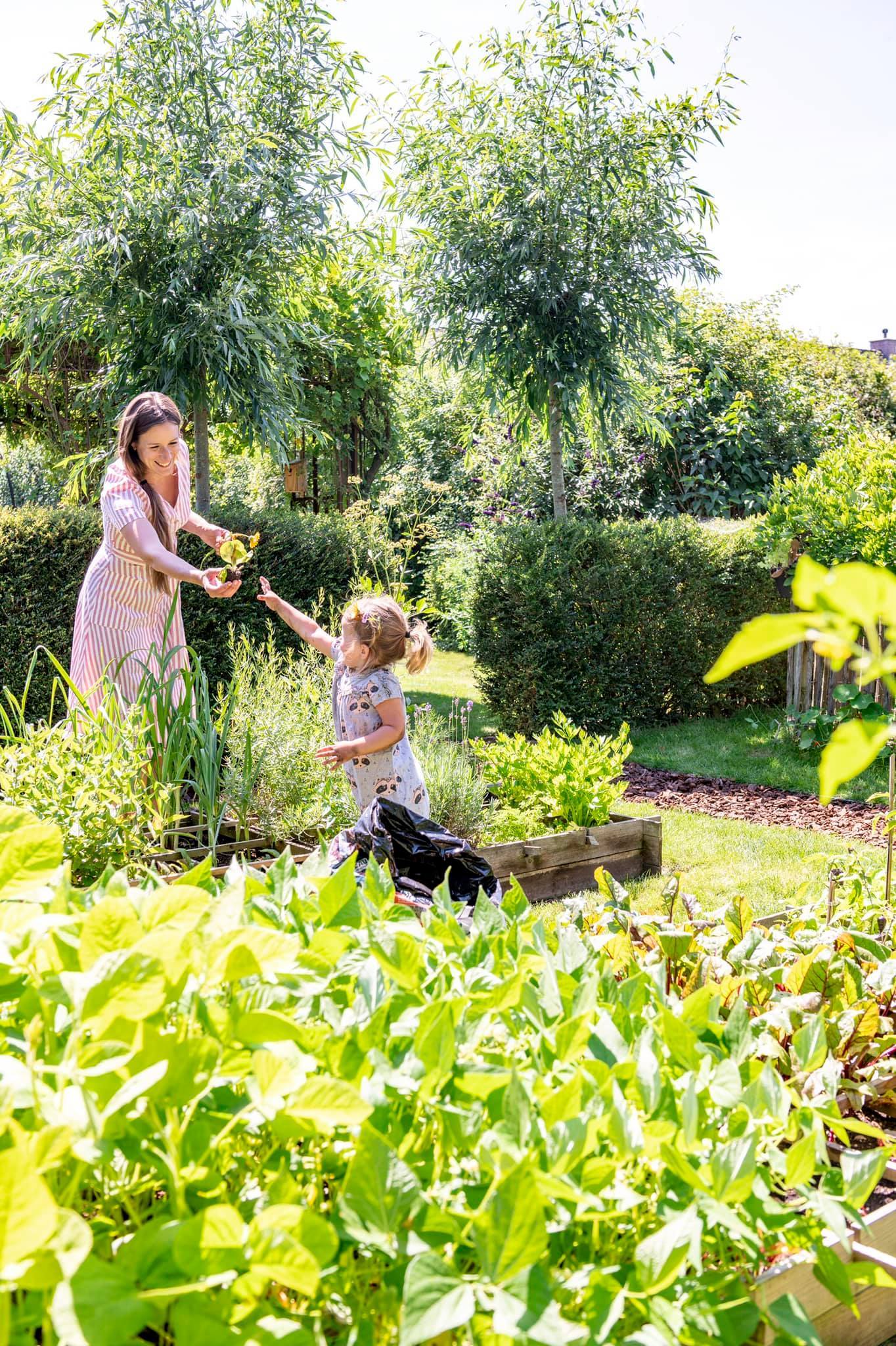Bà mẹ Bỉ làm khu vườn rau trái sum sê để nuôi dưỡng tuổi thơ tươi đẹp cho các con