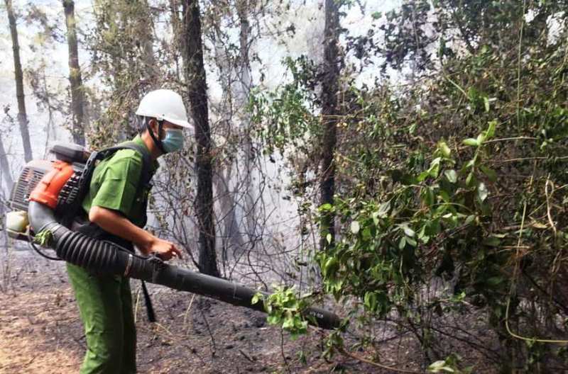 Nghệ An: Rừng thông 20 năm tuổi bốc cháy ngùn ngụt
