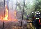 Nghệ An: Rừng thông 20 năm tuổi bốc cháy ngùn ngụt