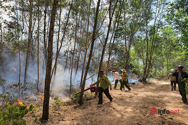 cháy rừng,cháy rừng thông,Thừa Thiên Huế,cháy dữ dội,nắng nóng gay gắt