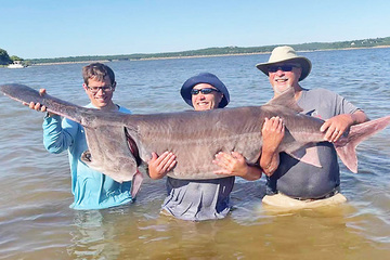 Đi câu cá vui vui, ai dè bắt được cá tầm khủng nặng gần 80 kg tại Mỹ