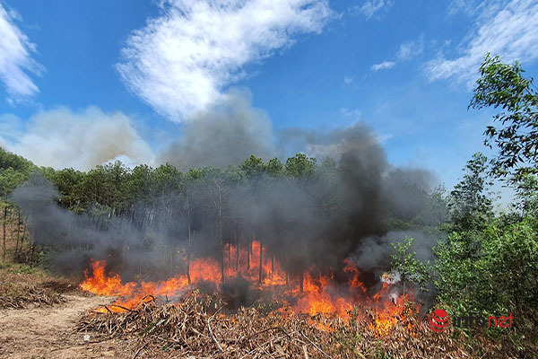 Cháy hơn 170ha rừng thông và rừng sản xuất ở Thừa Thiên – Huế, huy động hàng nghìn người dập lửa