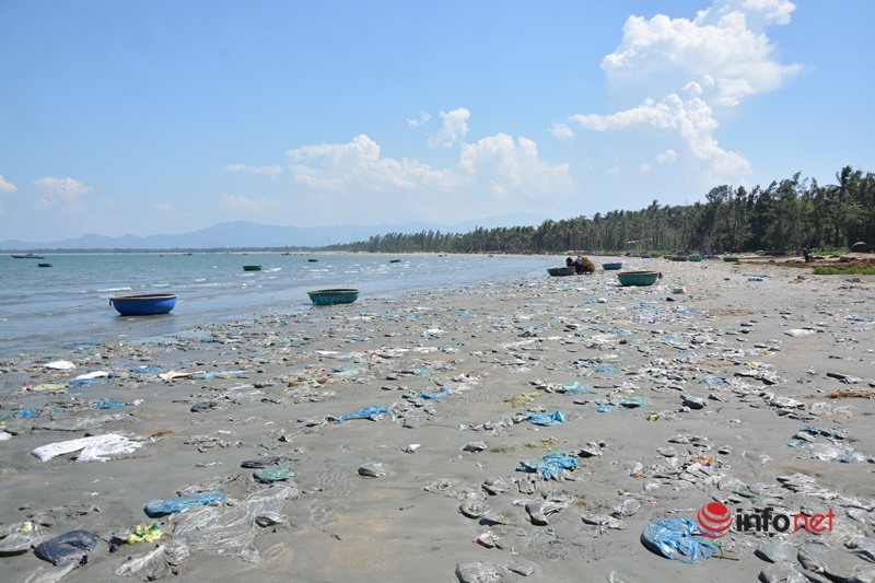 Quảng Nam: Rác thải dày đặc, tràn ngập cả km bờ biển xã đảo Tam Hải