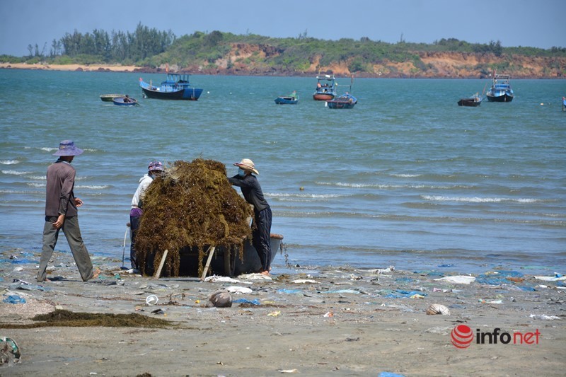 Quảng Nam: Rác thải dày đặc, tràn ngập cả km bờ biển xã đảo Tam Hải