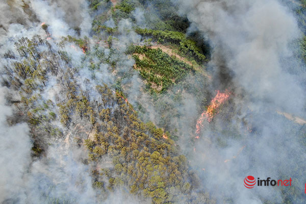 cháy rừng thông,cháy rừng keo tràm,cháy rừng,Thừa Thiên Huế