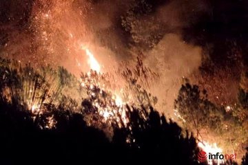 Hà Tĩnh: Huy động hàng trăm người dập lửa cứu rừng trong đêm