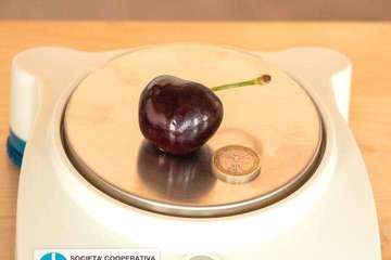 Quả cherry lớn nhất thế giới khiến hội mê trái cây thèm thuồng