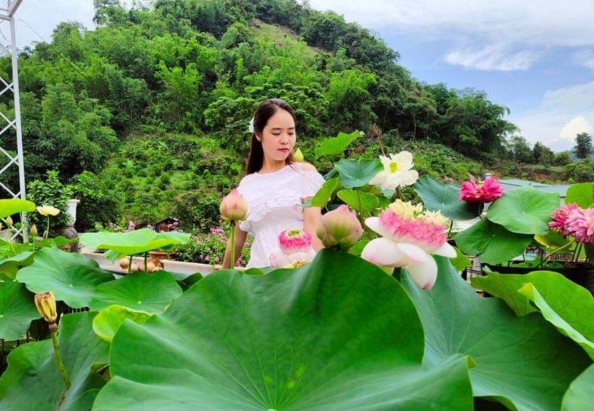 ‘Đầm sen’ hơn 30 loại trồng ngay tại nhà của cô giáo Sơn La
