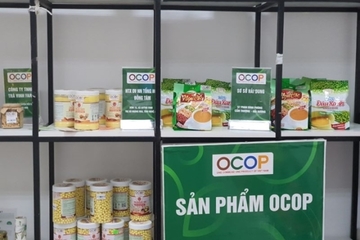 Hà Nội tổ chức ngày hội Livestream đưa đặc sản OCOP đến tay người tiêu dùng