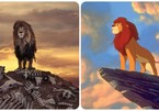 Bức ảnh sư tử kiêu hãnh đứng trên đồi toàn xương như cảnh quay 'kinh điển' trong phim Hollywood
