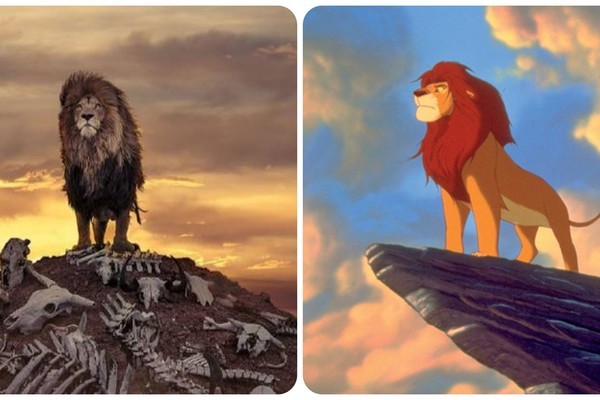 Bức ảnh sư tử kiêu hãnh đứng trên đồi toàn xương như cảnh quay 'kinh điển' trong phim Hollywood