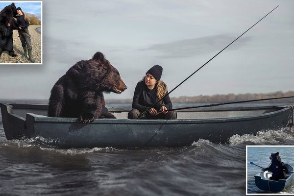 Cô gái giải cứu gấu khổng lồ rồi tự nhận chăm sóc thành thú cưng