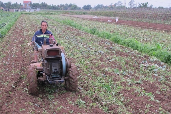 Thanh Hóa: Đào tạo nghề giúp đồng bào dân tộc thiểu số thoát nghèo