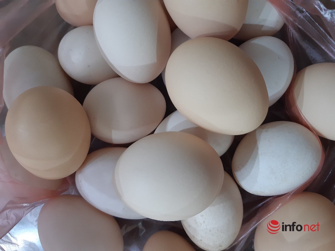 Nghịch lý giá gà rẻ hơn rau, trứng lại khan hiếm giá đắt đỏ