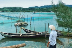 Phú Yên ưu tiên nuôi trồng thuỷ hải sản phát triển bền vững