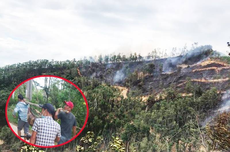 Quảng Nam: Người đàn ông tử vong trong lúc dập lửa vụ cháy rừng