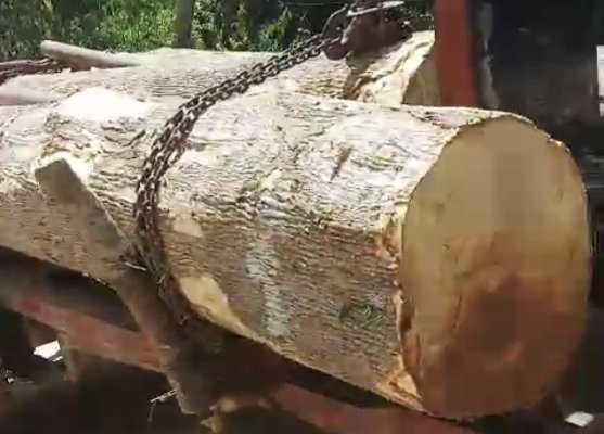 Đắk Lắk: Hơn 40 người vác dao uy hiếp bảo vệ rừng để cướp tang vật