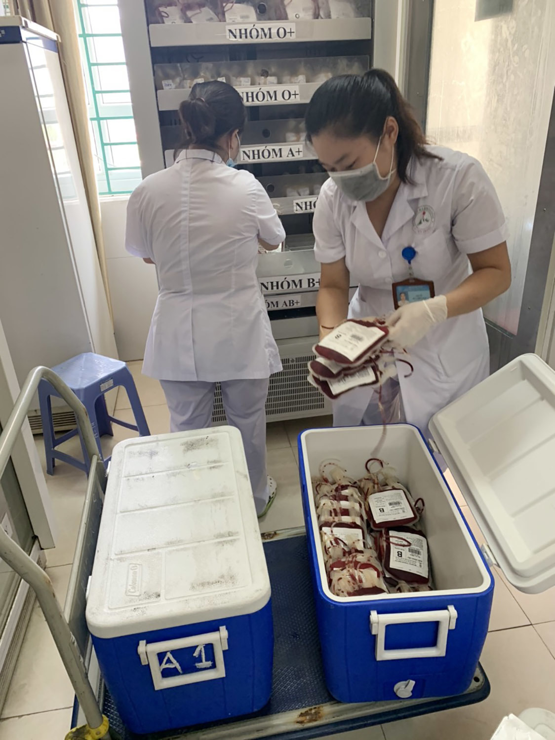 Chuyển 1.000 đơn vị máu từ Hà Nội vào miền Tây cứu người bệnh