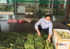 Huy động xe tải 2 tấn đi chợ hộ cư dân chung cư ở Hà Nội