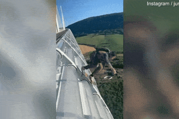 Thót tim xem khoảnh khắc người đàn ông trượt ván từ cây cầu cao 274 mét