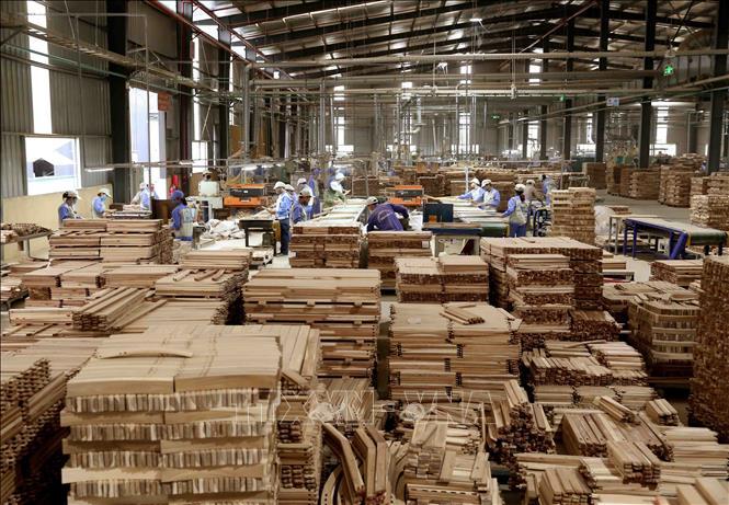 Nửa đầu năm, xuất khẩu gỗ và sản phẩm gỗ tăng 62,6%
