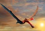 Rồng bay đáng sợ ăn thịt cả khủng long từng thống trị Australia