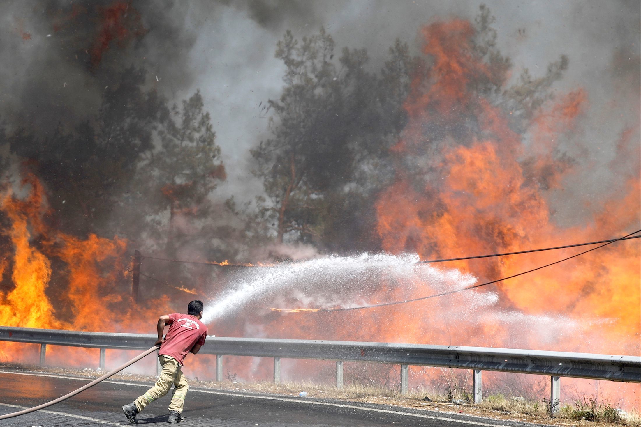 Cảnh sát Hy Lạp bắt giữ hơn 100 người vì nghi ngờ đốt rừng