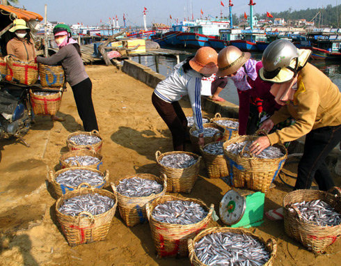 Bình Thuận: La Gi vừa phòng dịch vừa không làm gián đoạn khai thác thủy sản